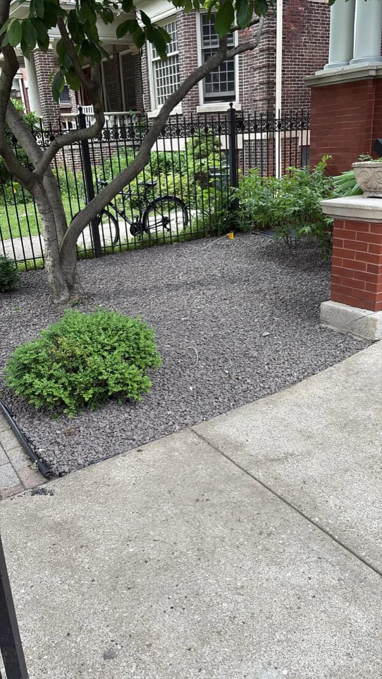 City front yard finished in grey decorative stone with a shaped boxwood