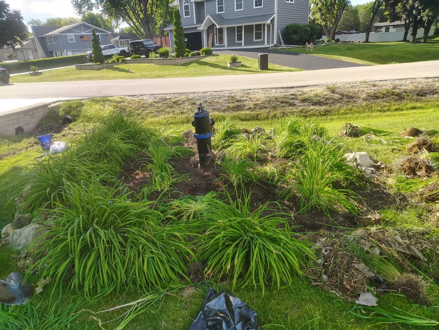 Front bed reworked around a sprinkler head