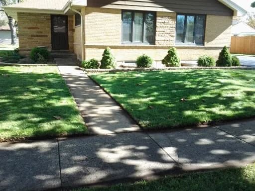 Clean turf edge running up to a walkway