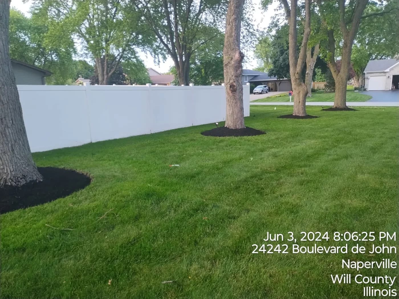 Black mulch tree rings cut into a green lawn