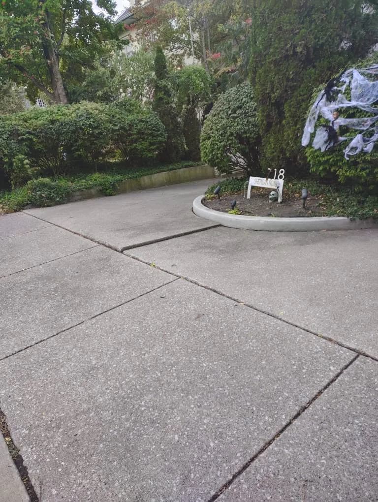 The same area before the patio went in