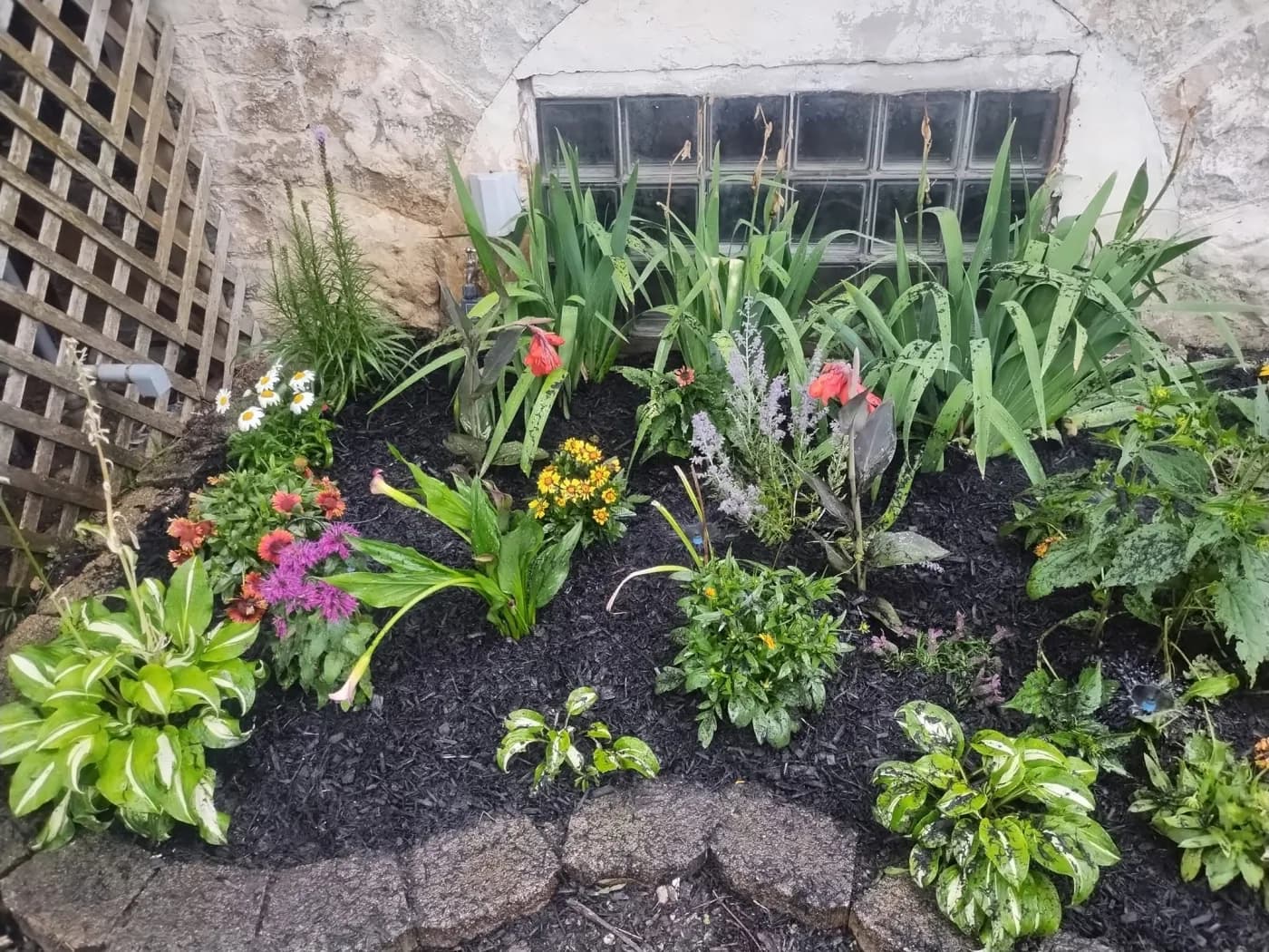 Perennial bed in full colour over black mulch