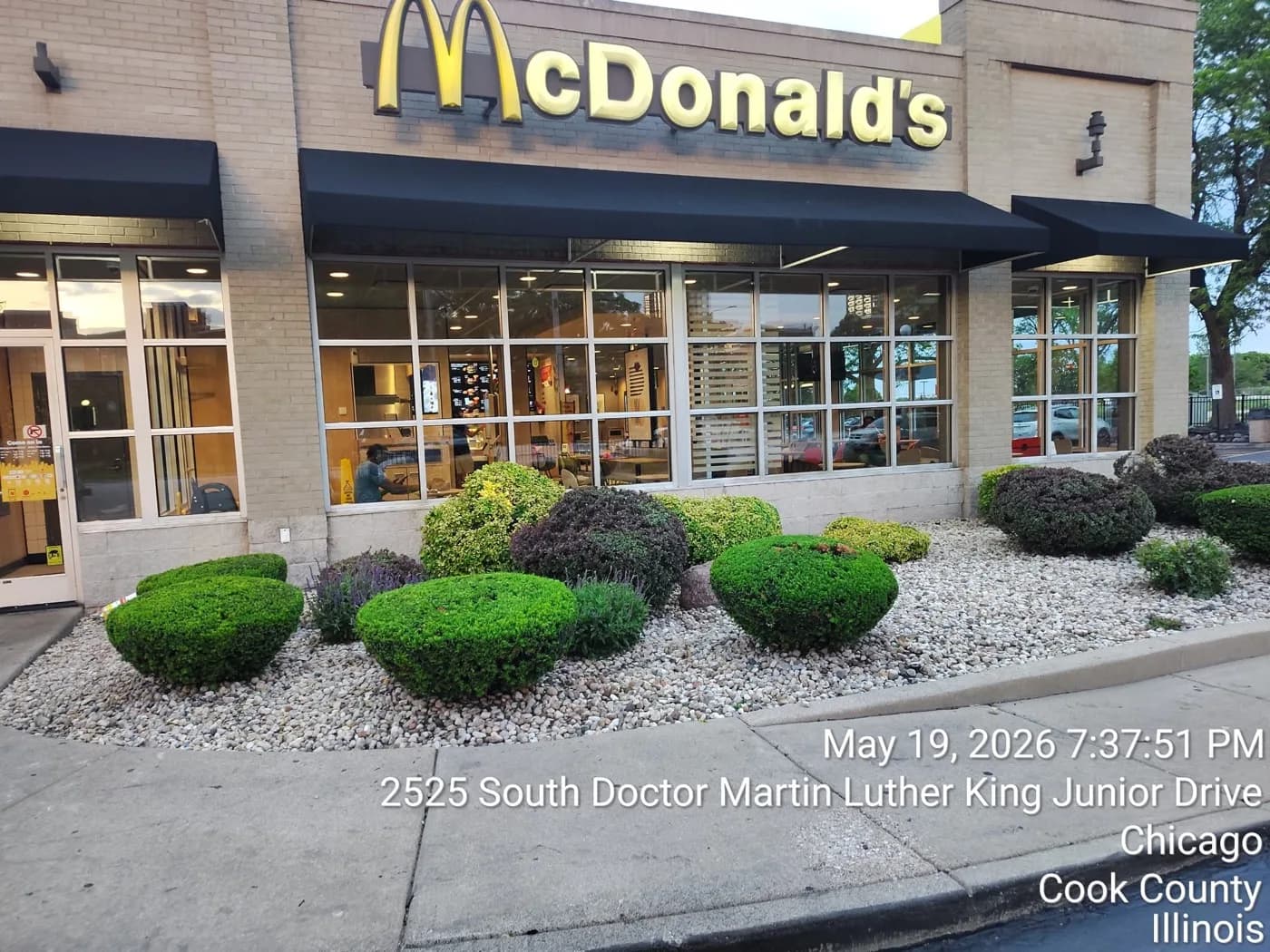 Storefront beds with tight shaped shrubs over decorative stone