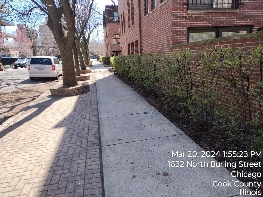 Raised stone tree rings and a bordered bed along a sidewalk